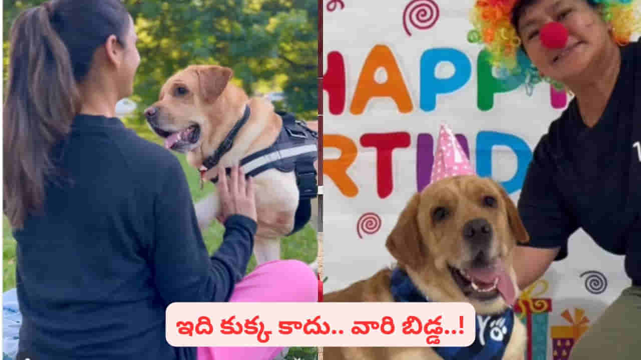 హైదరాబాద్ టూ ఆస్ట్రేలియా.. వయా దుబాయ్.. కుక్క కోసం ఈ కపుల్ ఏం చేశారో తెలిస్తే..!