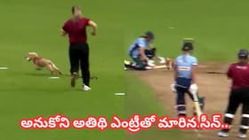 Viral Video: ఫీల్డర్లకు చుక్కలు చూపించిన అనుకోని అతిథి..!