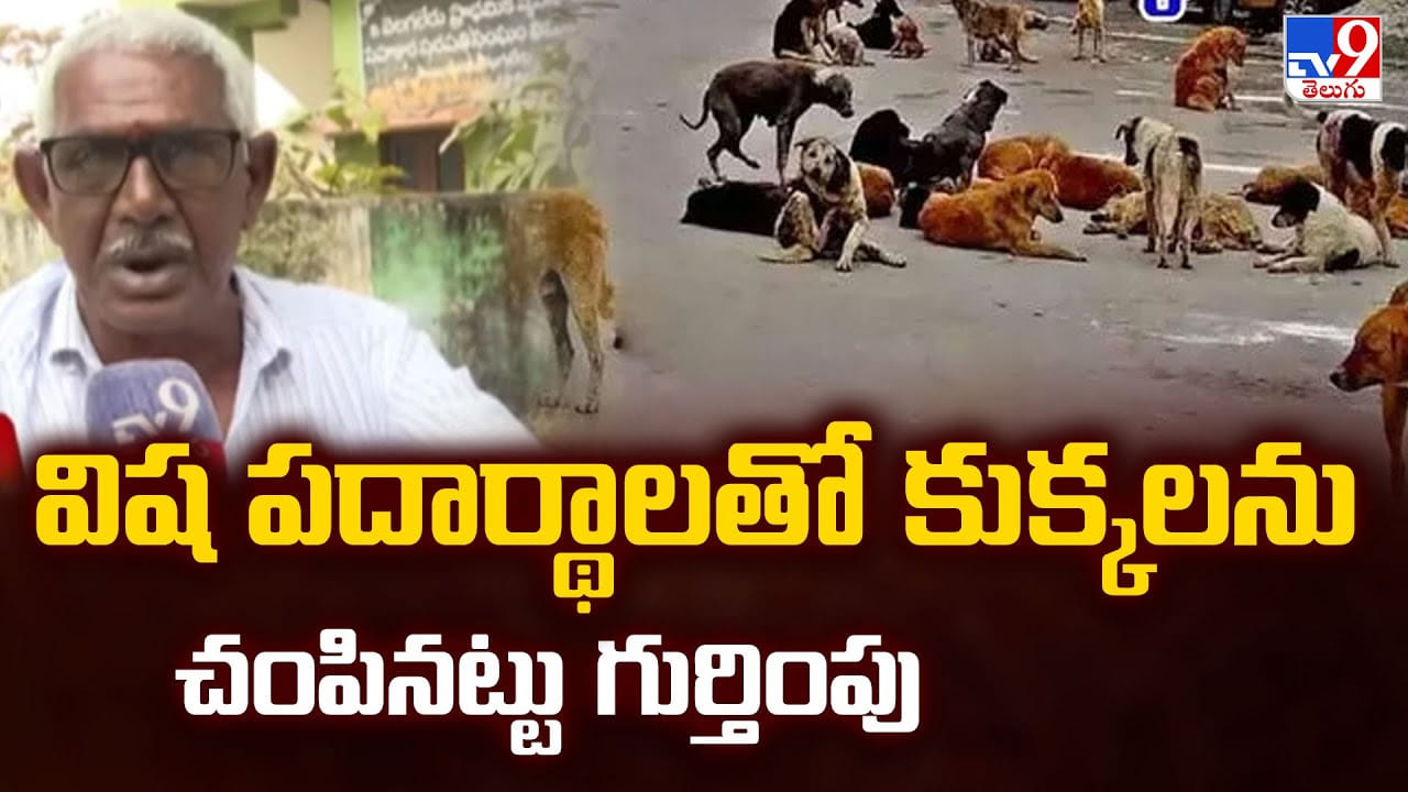 విష పదార్థాలతో కుక్కలను చంపినట్టు గుర్తింపు