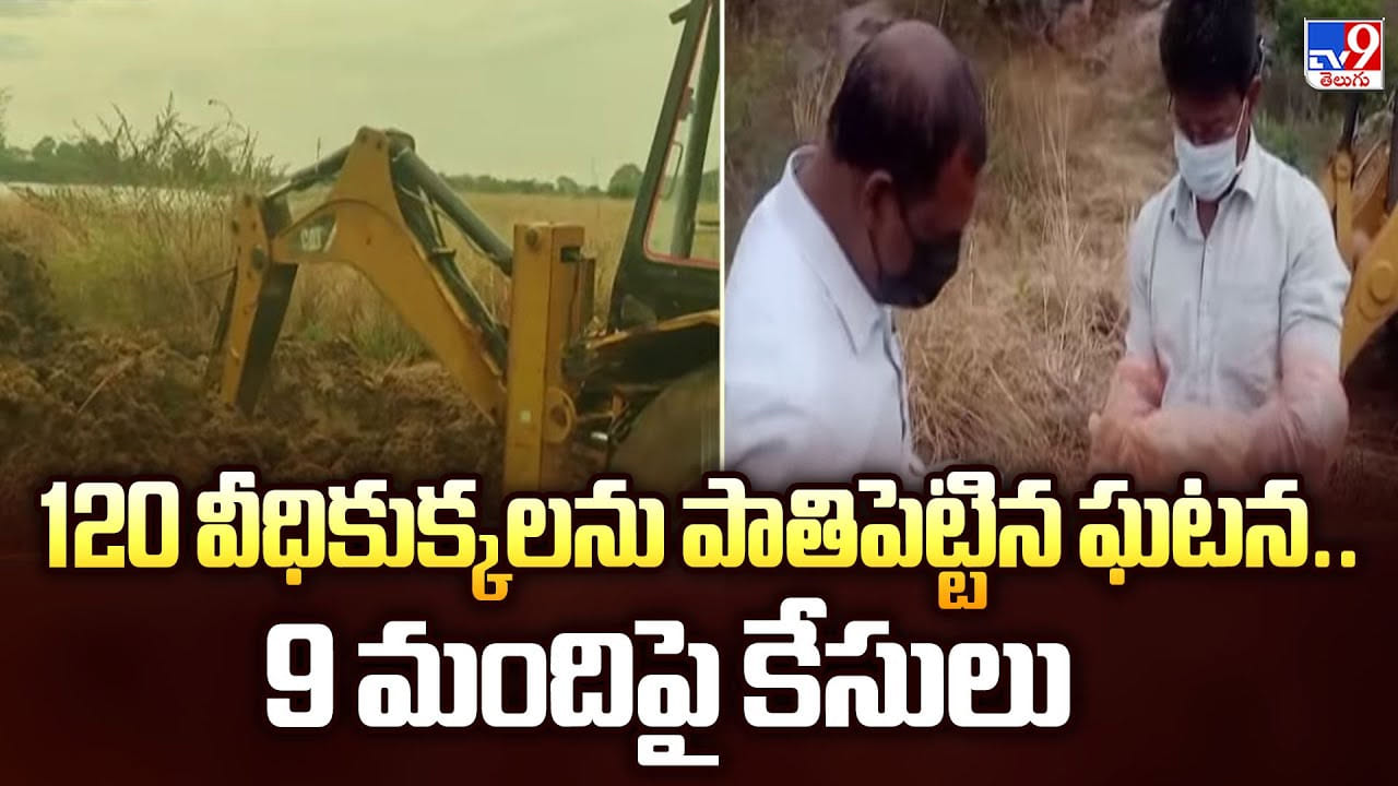 120 వీధికుక్కలను పాతిపెట్టిన ఘటన.. 9 మందిపై కేసులు