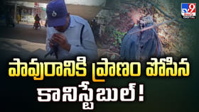 పావురానికి ప్రాణం పోసిన కానిస్టేబుల్‌!