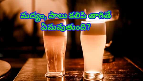 మద్యం, పాలు కలిపి తాగితే ఏమవుతుంది..? ఈ నిజం తెలిస్తే మీరు ఖచ్చితంగా షాక్ అవుతారు..