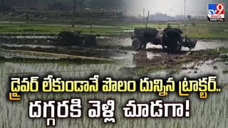 విశాఖ అబ్బాయి వెడ్స్‌ నార్వే అమ్మాయి