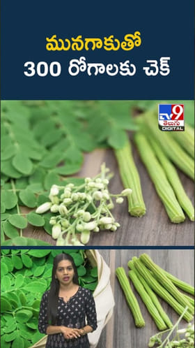 Moringa Leaves: మునగాకు తింటే.. దెబ్బకు 300 రోగాలు పారిపోతాయ్..!