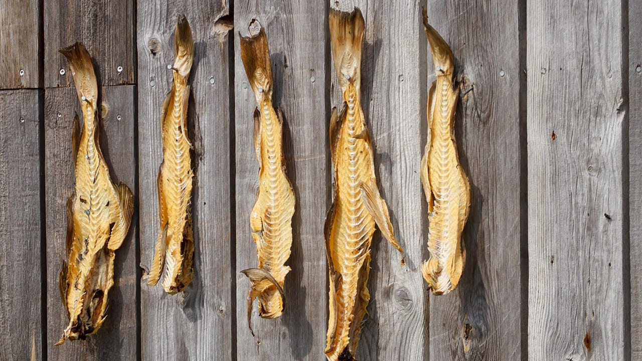 గాయాలను తగ్గించే మంచి ఆహారం: ఎండు చేపలు గాయాలను తగ్గిస్తాయి. ఎందుకంటే, వీటిలో ఉండే ఒమేగా-3 ఫ్యాటీ యాసిడ్లు మంట మీద పోరాడుతుంది. ఇంకా  మీరు ఆస్తమా, సోరియాసిస్ తో బాధపడుతుంటే.. వాటిని తగ్గించడంలో ఎండు చేపలు ముఖ్య పాత్రను పోషిస్తాయి. 