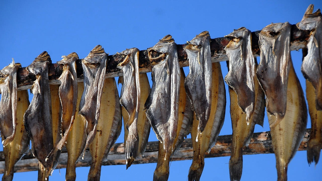 బరువు తగ్గడం :  ఎండు చేపలలో  కేలరీలు చాలా తక్కువగా  ఉంటాయి. వీటిని మీ డైట్ లో చేర్చుకుంటే.. మీరు ఆరోగ్యంగా బరువు పెరగకుండా  ఉంటారు. 50 గ్రాముల ఎండు చేపలలో మీకు 150 కేలరీలతో పాటు ప్రోటీన్ దొరుకుతుంది.  కాబట్టి, దీనిని రాత్రి భోజనంలో తీసుకుంటే మంచి ఫలితం ఉంటుంది. 