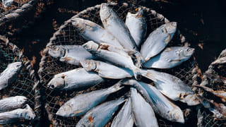 D-Mart Alternatives: డీమార్ట్ కాదు.. ఈ స్టోర్లలో ఆఫర్లు తెలిస్తే.. వెంటనే బ్యాగ్ పట్టుకొని పరిగెడతారు.. ఏవో తెలుసా?