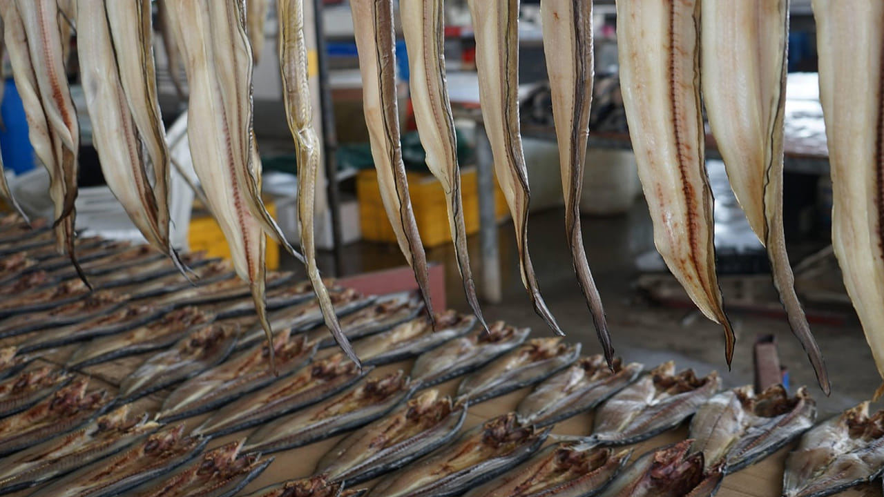 మెదడు పనితీరును మెరుగుపరచడం : మీకు సరిగా గుర్తు ఉండటం లేదా ? జ్ఞాపక శక్తీ తక్కువగా ఉన్న వారు ఎండు చేపలు తీసుకుంటే ఆ సమస్యకు చెక్ పెట్టొచ్చు. దీనిని మీ ఆహారంలో చేర్చుకుంటే మెదడు పనితీరును మెరుగుపరుస్తుంది. 