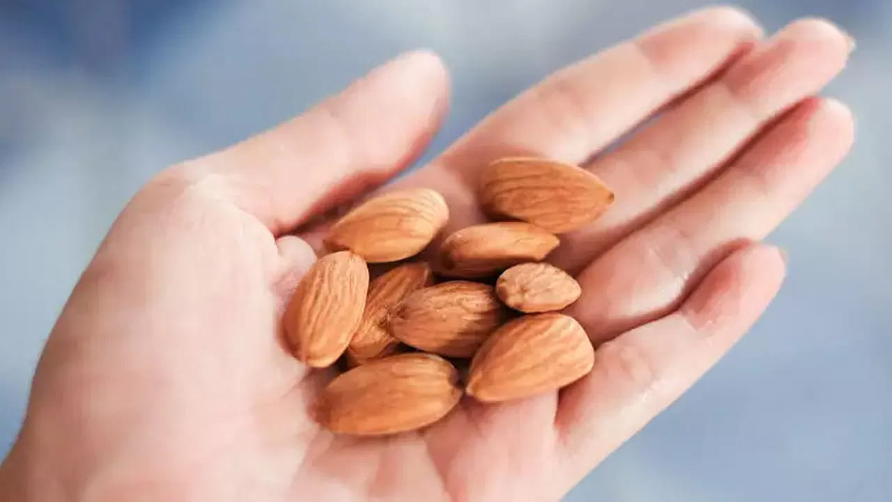 డ్రై ఫ్రూట్స్‌లో బాదంలో పోషక విలువలు చాలా ఎక్కువగా ఉంటాయి. ఇందులో ప్రోటీన్, ఆరోగ్యకరమైన కొవ్వులు ఎక్కువగా ఉండటం, అలాగే బలమై ఆర్థిక ప్రాముఖ్యతను కలిగి ఉండటం వలన బాదంపప్పును డ్రై ఫ్రూట్ రాజు అని పిలుస్తారు. బాదం పప్పును ఎక్కువగా, మిఠాయిలు, స్నాక్స్, సంప్రదాయ వైద్యం, ఆహార పదార్థాల్లో ఉపయోగిస్తారు. ఆరోగ్య, ఆహార పరిశ్రమలలో దీనిని ఎక్కువగా ఉపయోగించడం వలన బాదంపప్పుకు డ్రై ఫ్రూట్‌లో రాజు అని పేరు వచ్చిందంట. 