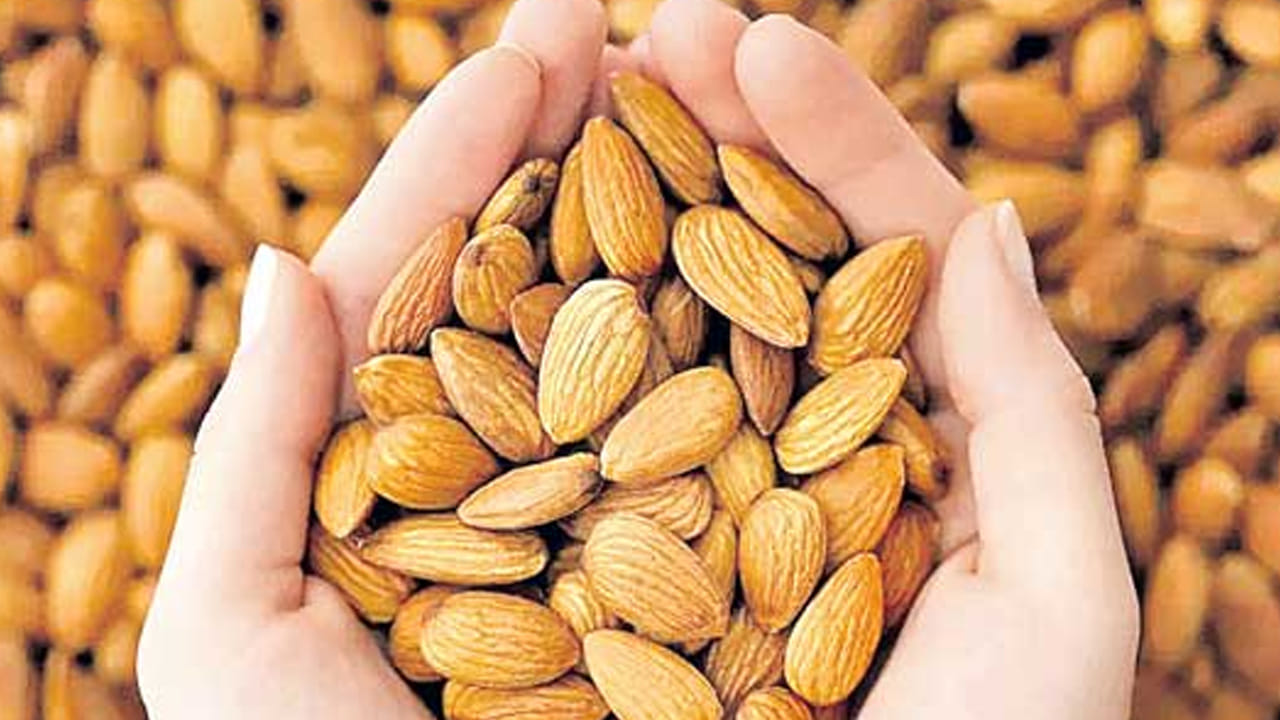 ఇక బాదం పప్పును ఎక్కువగా ఎందులో ఉపయోగిస్తు్న్నారో ఇప్పుడు మనం వివరంగా తెలుసుకుందాం. బాదం పప్పును ప్రపంచ డ్రై ఫ్రూట్ పరిశ్రమ, ఆహార ప్రాసెసింగ్ రంగం, మిఠాయి తయారీ రంగం, నూనె వెలికితీత, ఎగుమతి మార్కెట్లలో ఇది ప్రధాన పాత్ర పోషిస్తుంది. అదే విధంగా బాదం వ్యవసాయ, వ్యవసాయ ఆధారిత జీవనోపాధికి , పండ్ల తోటల సాగు, బాదం పిండి, బాదం నూనె, బాదం వెన్న, బాదం పాలు వంటి ఆధారిత ఉత్పత్తి పరిశ్రమలకు ఇది మద్దతు ఇస్తుంది.