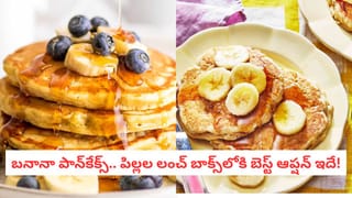 Garlic Chutney: నువ్వుల నూనెతో కమ్మని వెల్లుల్లి చట్నీ.. ఇడ్లీ, దోసెల్లోకి దీన్ని మించిన కాంబినేషన్ లేదు!