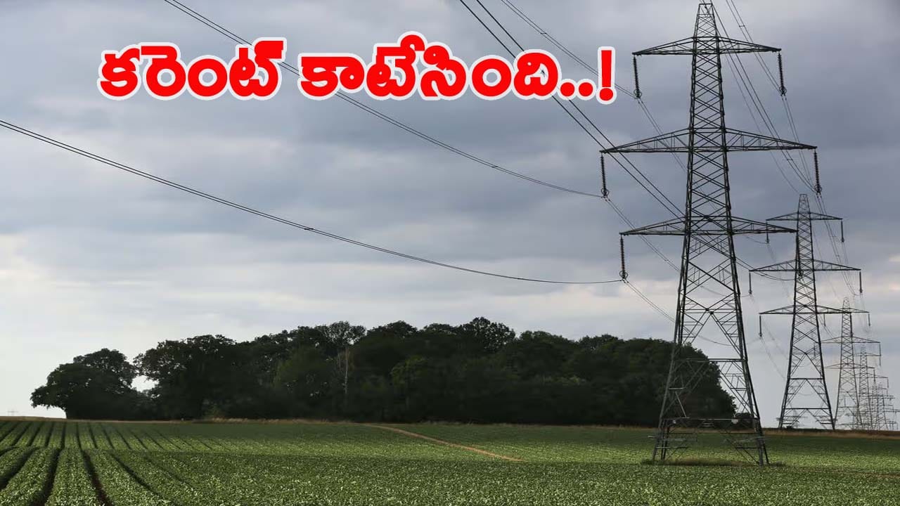 సరదాగా తండ్రి వెంట వ్యవసాయ పొలానికి వెళ్లిన నాలుగేళ్ల కొడుకు.. ఇద్దరి ప్రాణం తీసిన సర్వీస్ వైర్..!