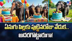ఏనుగు పిల్లకు పుట్టినరోజు వేడుక.. అదరగొట్టారుగా