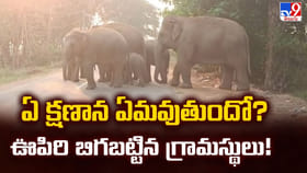 ఏ క్షణాన ఏమవుతుందో ?? ఊపిరి బిగబట్టిన గ్రామస్థులు