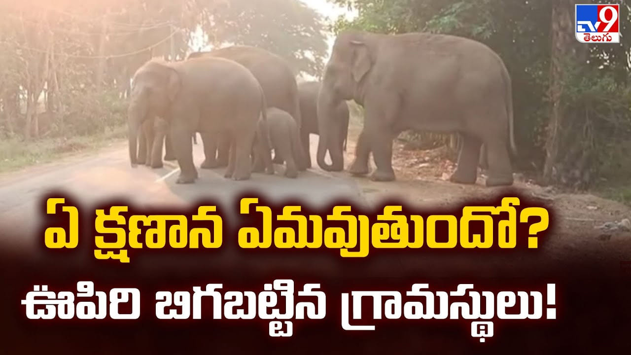 ఏ క్షణాన ఏమవుతుందో ?? ఊపిరి బిగబట్టిన గ్రామస్థులు ఏ క్షణాన ఏమవుతుందో ?? ఊపిరి బిగబట్టిన గ్రామస్థులు