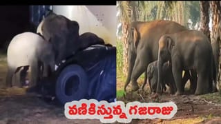 Botsa Jhansi Lakshmi: మాజీ ఎంపీ బొత్స ఝాన్సీ లక్ష్మీ అకడమిక్ ప్రయాణంలో నిత్య విద్యార్థినిగా మరో రికార్డ్