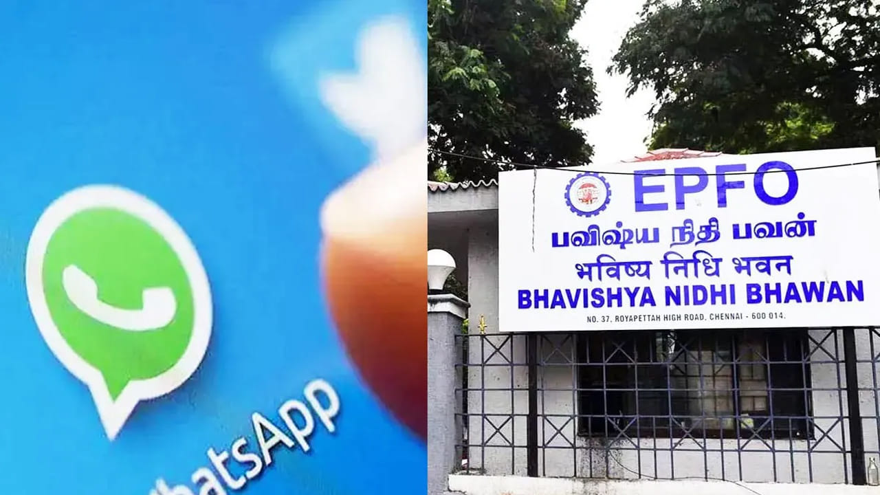EPFO WhatsApp: వాట్సప్ ద్వారా పీఎఫ్ సేవలు.. ఒక్క మెస్సేజ్‌తో అన్నీ మీ మొబైల్‌లోనే.. ఎలానో తెలుసుకోండి