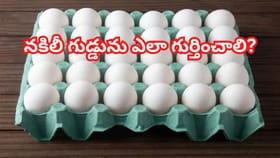 ఓరీ దేవుడో మనం తింటున్న గుడ్డు నకిలీదా..?తెలుసుకోపోతే చాలా డేంజర్