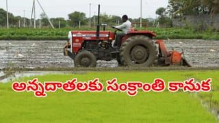 Telangana: అగ్రికల్చర్ వర్సిటీలో పేపర్ లీక్ కలకలం.. 35 మంది అభ్యర్థులపై వేటు.. ఎలా బయటపడిందంటే..?