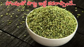 10,000 అడుగుల మ్యాజిక్.. రోజూ నడిస్తే మీ శరీరంలో జరిగే అద్భుత మార్పులు ఇవే..