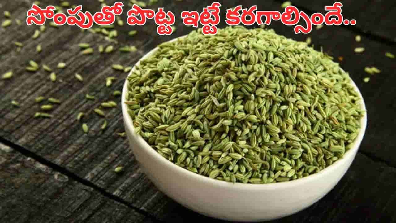 పొట్ట ఐస్లా కరగాల్సిందే.. రోజూ సోంపును ఇలా తీసుకుంటే అద్భుతాలే..