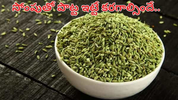 పొట్ట ఐస్లా కరగాల్సిందే.. రోజూ సోంపును ఇలా తీసుకుంటే అద్భుతాలే..