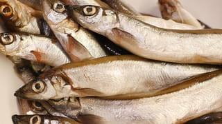 Vastu Shastra Tips: పొరపాటున కూడా ఈ స్థలంలో డబ్బులు అస్సలు ఉంచకండి.. ఇంట్లో ఆర్థిక సంక్షోభం!