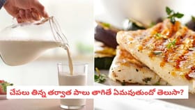 చేపలు తిన్న తర్వాత పాలు తాగితే ఏమవుతుందో తెలుసా?