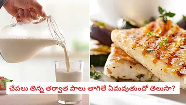 Fish And Milk: చేపలు తిన్న తర్వాత పాలు తాగకూడదా? ఆ తర్వాత జరిగేది ఇదే..