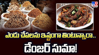 గొర్రె రక్తానికి అంత పవర్ ఉందా.. అసలు నిజాలు తెలిస్తే షాకవుతారు