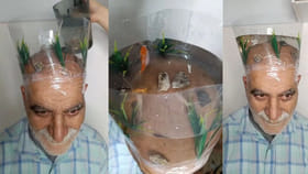 Viral Video: తన బట్టతలనే ఆక్వేరియంలా మార్చేసిన తాత!