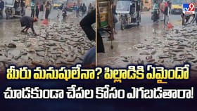 మీరు మనుషులేనా ?? పిల్లాడికి ఏమైందో చూడకుండా చేపల కోసం ఎగబడతారా