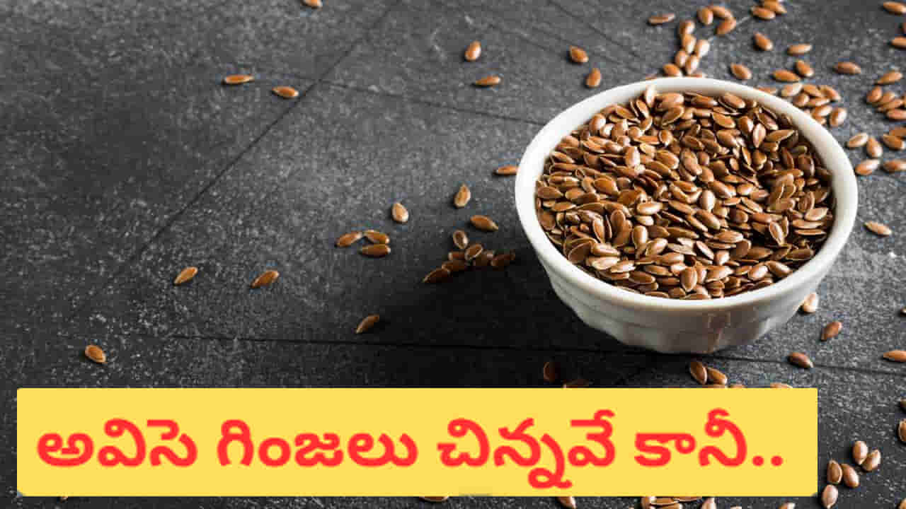 Flaxseeds: అవిసె గింజలతో లాభాలెన్నో.. భయంకర వ్యాధులకు చెక్ పెడుతుంది తెలుసా?