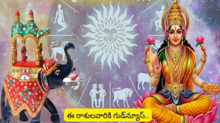 సరస్వతి దేవి ఫోటో లేదా విగ్రహం కొంటున్నారా..? ఈ తప్పులు అస్సలు చేయొద్దు