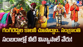 గంగిరెద్దుల కాలనీ చూసొద్దాం.. సంక్రాంతి సంబరాల్లో వీటి విన్యాసాలే