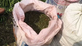 గుడికి వెళ్తే ఏంటి ఈ వాసన అని తనిఖీలు చేయగా..