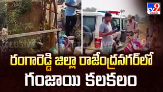 ములుగు, మహబూబాబాద్ జిల్లాల్లో పెద్దపులి భయం