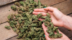 గంజాయి విక్రయాలు చేస్తే కఠిన చర్యలు తప్పవు