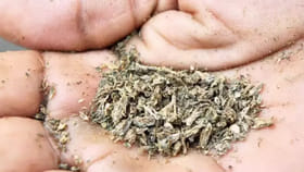 డ్రగ్స్ కేసులో MLA కుమారుడు