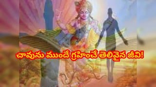 బియ్యం ఉడికేటప్పుడు ఈ చిట్కా ట్రై చేయండి..అన్నం మల్లెపూలలా మెత్తగా..రెస్టారెంట్ స్టైల్‌లో…