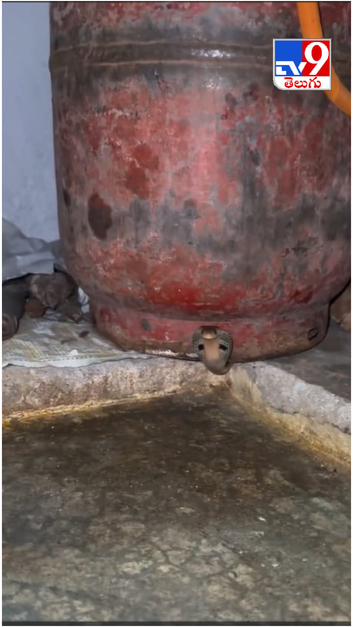 Viral Video: గ్యాస్ సిలిండర్ నుంచి బుస్ బుస్ శబ్ధాలు.. దగ్గరికెళ్లి చూడగా షాకింగ్ సీన్