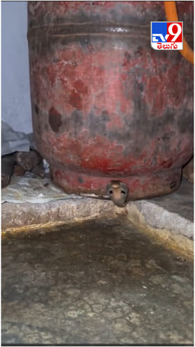 Viral Video: గ్యాస్ సిలిండర్ నుంచి బుస్ బుస్ శబ్ధాలు.. దగ్గరికెళ్లి చూడగా షాకింగ్ సీన్