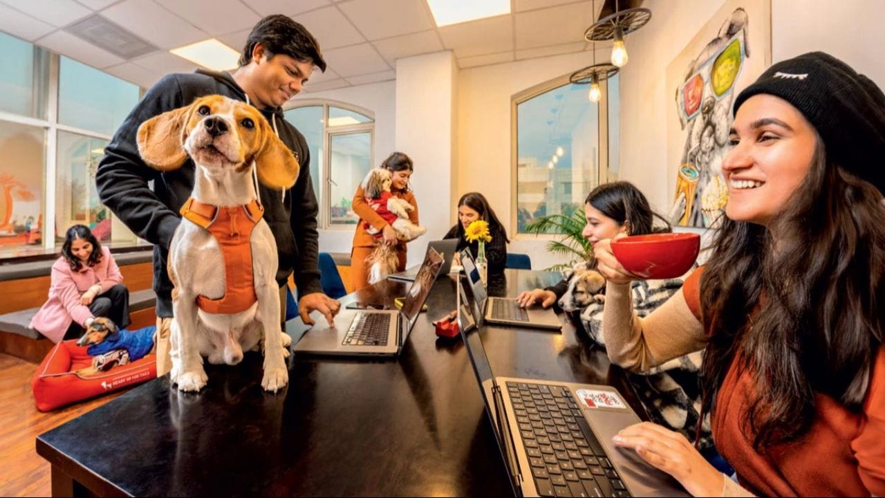 Gen Z vs Millennials: శాలరీ ఎంతైనా జూజూబీ అంటున్న Gen Z.. వర్క్‌, లైఫ్ బ్యాలెన్స్‌కే ప్రయారిటీ