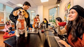 బతకడానికే పని.. మారుతున్న ఆఫీస్ కల్చర్ వెనుక అసలు నిజాలివే!