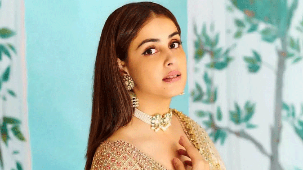 Genelia : ఆ సినిమా ఒప్పుకుంటే వద్దన్నారు.. జెనీలియా ఆసక్తికర కామెంట్స్..