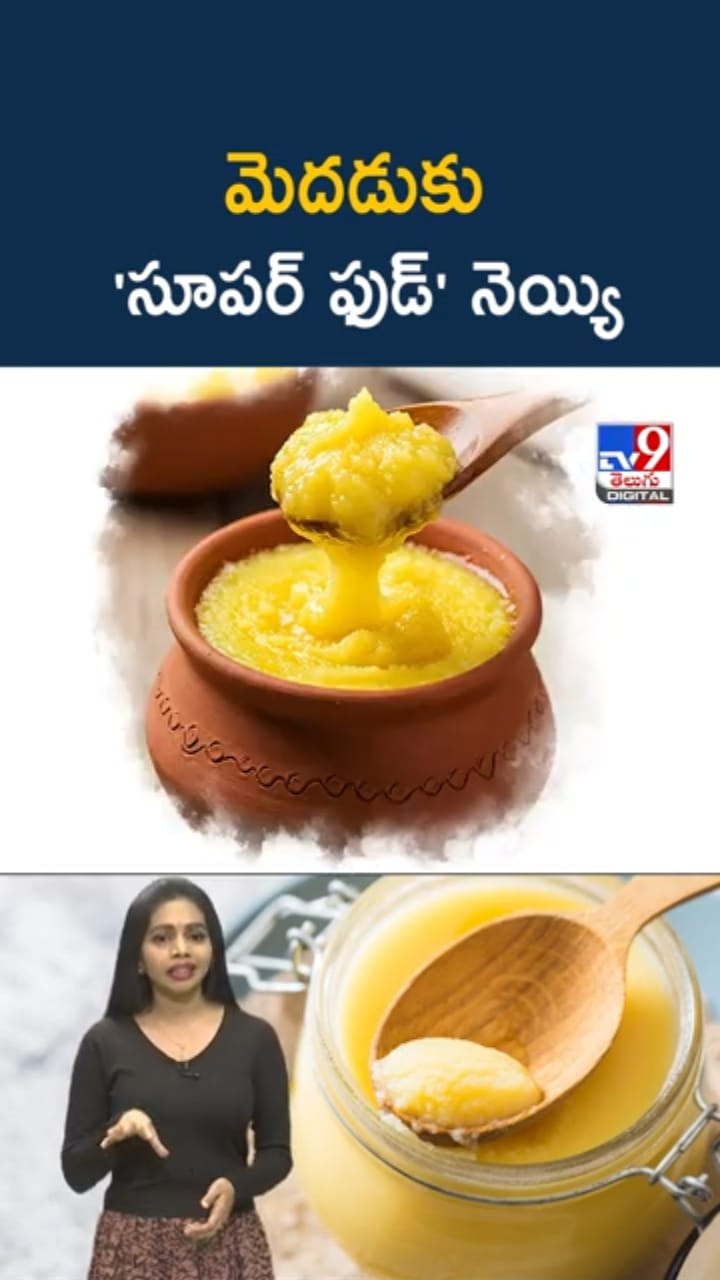 Ghee Benefits: మెదడుకు సూపర్ ఫుడ్.. నెయ్యి తింటే లాభాలో ఎన్నో..