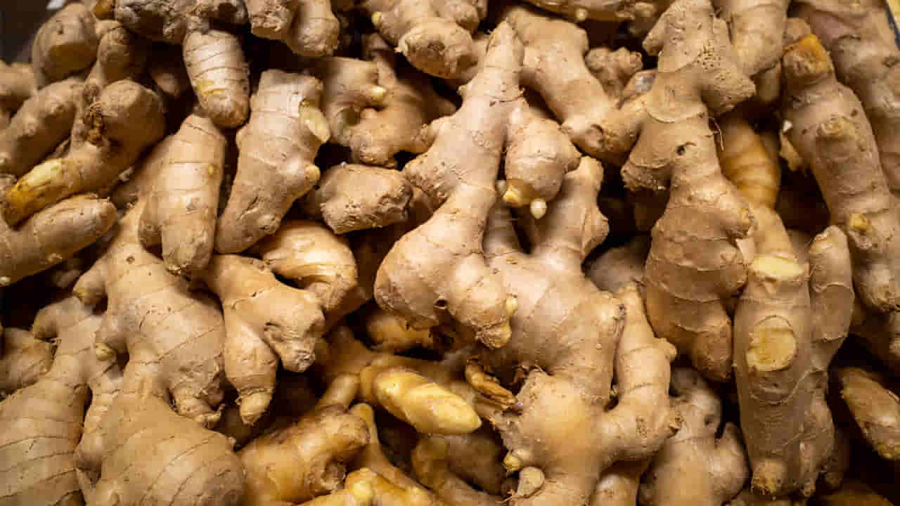 అల్లంతో ఎన్ని ఆరోగ్య ప్రయోజనాలో తెలుసా? ఈ తప్పు చేస్తే మాత్రం డేంజర్!