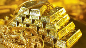 బంగారం, వెండి కంటే కాస్ట్లీ.! ఈ రెండు ఫుడ్స్ ఏంటో తెలిస్తే