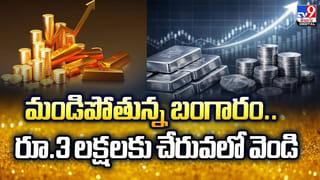 Andhra Pradesh: పందెం రాయుళ్లకు షాక్ !! కలెక్టర్లు,ఎస్పీలకు హైకోర్టు ఆదేశాలు
