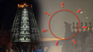 ఓర్నీ ఏందిరా ఇదీ.. ఇంకెక్కడా చోటు దొరకలేదా నీకు!